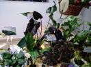 выставка 01 2019_14