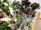 Выставка 02 2019_11