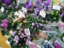 Выставка 02 2019_15