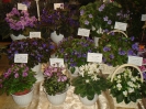 Выставка июнь 2015_1