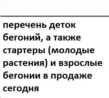zastavka-begonij-detki